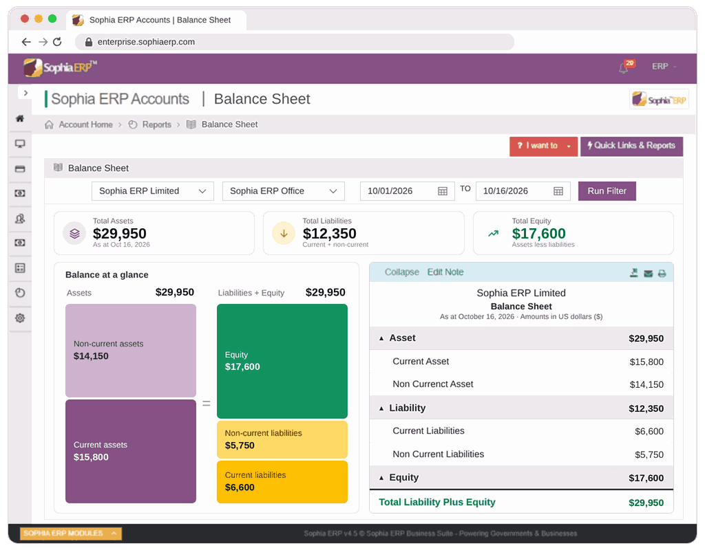 Sophia ERP Finance dashboard with financial reporting and performance metrics